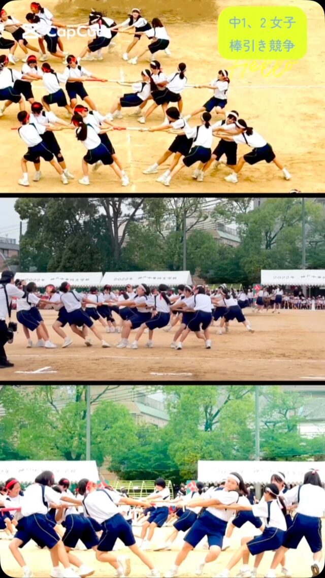 .
【中1・中2女子の棒引き】
〜競技も応援も大盛り上がり！〜

声は飛び交い、棒は奪い合い、全力勝負の大乱戦に！😆
紅白に分かれて、中央の棒を自陣に引き込む「棒引き」は、
力・スピード・チームワーク、
そして気合いと声の大きさまでもが勝負のカギ。

応援席からの声援もヒートアップし、
一つ一つの勝負に、歓声と拍手が沸き上がっていました🔥

#神戸中華同文学校#棒引き #運動会#私立小学校 #バイリンガル教育
#神戸市#中国語#中華#神戸市