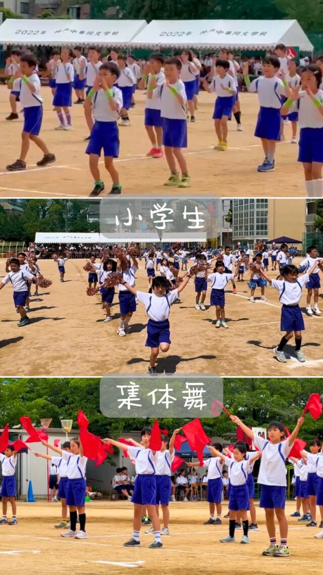 【小学生　集体舞】
運動会の感動、まだまだ続きます！

📣 1・2年生はカラフルなポンポンを持って、元気いっぱいのダンス！
一生懸命な姿がとにかく可愛い💕

📣 3・4年生はアームバンドをつけて登場！
キレのある動きと表情で、カッコよさ炸裂！

📣 5・6年生は旗を使って、難しいダンスに挑戦🚩
力強く、美しいパフォーマンスで魅せてくれました✨

学年ごとに違うカラーがあって、どれも素敵な演技でした！
子どもたちの頑張る姿に、たくさんの拍手です👏